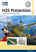 H2S Protection - 1