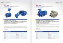 EXPLOSION PROOF THREE-PHASE ASYNCHRONOUS MOTOR FOR FANS  YBF3 SERIES-1