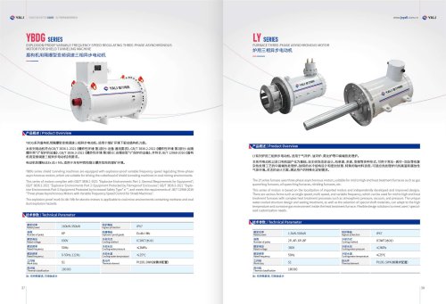 FURNACE THREE-PHASE ASYNCHRONOUS MOTOR  LY SERIES