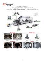 HHO engine carbon cleaning machine-4