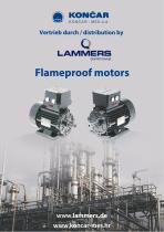 Flameproof motors - 1