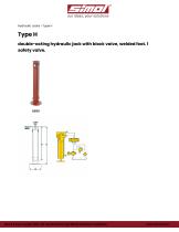 Type H-1