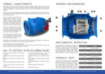 Needle - plunger valve-2