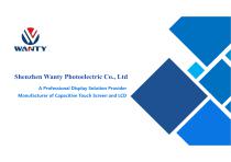 A Professional Display Solution Provider-1
