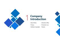 A Professional Display Solution Provider-3