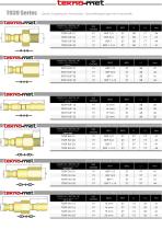 T039 SERIES-4