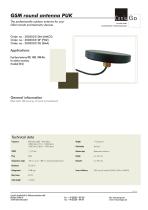 300303310S-1