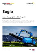 Eagle-1