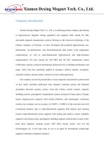 User Manual of DX-330F Fluxgate Magnetometer-2