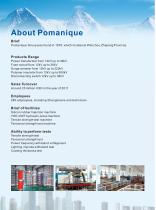 Pomanique electric insulator CDI series - 2