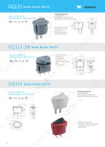 Rocker Switch-1
