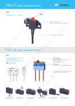 Waterproof Micro Switch-1