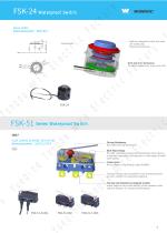 Waterproof Micro Switch-1