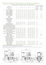 Libellula Pumps - 14