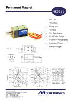 Permanent Magnet - 1