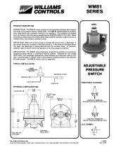 WM 81-1