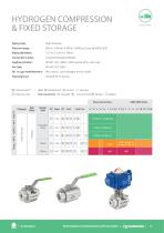 VALVES FOR HYDROGEN PROCESSES - 13