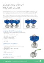 VALVES FOR HYDROGEN PROCESSES - 6