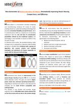 Mirmex Motor Brochure-1