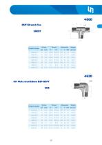 Adapters BSPP 60°-39