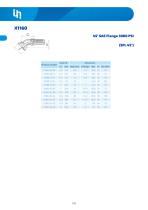 Stainless Steel Fittings-52