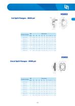Stainless Steel Fittings-53