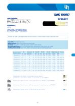 Thermoplastic-3