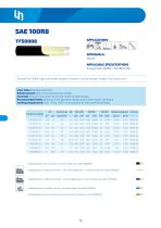 Thermoplastic-6