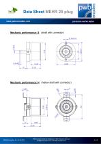 MEHR 25 plug - 4