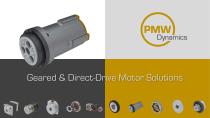 Advanced Motor Solutions for Industry-21