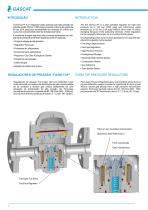 DOMUS HF Regulador de Pressão Pressure Regulator - 2