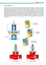 GIPS Slam Shut off Valve - 3