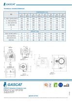 GIPS Slam Shut off Valve - 8