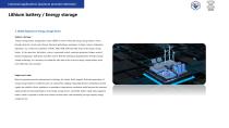 Product brochure-11