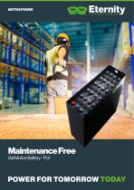Maintenance Free-1