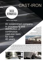 CONTINUOUS CAST-IRON BARS BRONZE BARS-2