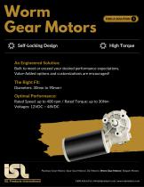 DC Motor & Gear Motors-5