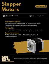 DC Motor & Gear Motors-6