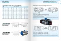 CTN-A Rack and Pinion Actuator-6