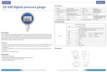 Absolute pressure gauge YK-100 - 2