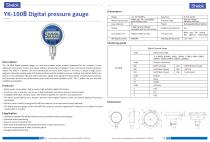 Absolute pressure gauge YK-100B - 2