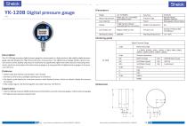 Absolute pressure gauge YK-120B - 2