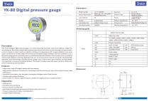 Absolute pressure gauge YK-80 - 2