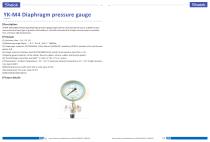 Dial pressure gauge YK-M4 - 2