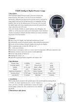 Pressure gauge with LCD display YK60