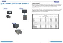 Ultrasonic flow meter HK-G4-G6-G10 - 2