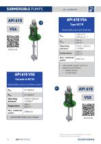 Pumps acc. to API 610 and API 685-10