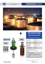 Pumps acc. to API 610 and API 685-11