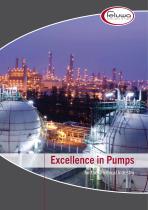 Excellence in Pumps for the Chemical Industry-1