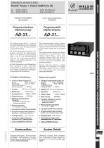 Programmable Digital Display AD-31 - 1